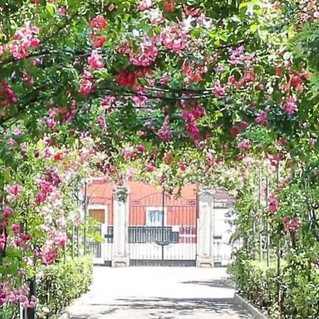 Deluxe Vicino Al Mare E Al Centro Con Parcheggio Privato Apartament *