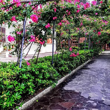 Apartament Deluxe Vicino Al Mare E Al Centro Con Parcheggio Privato Senigallia