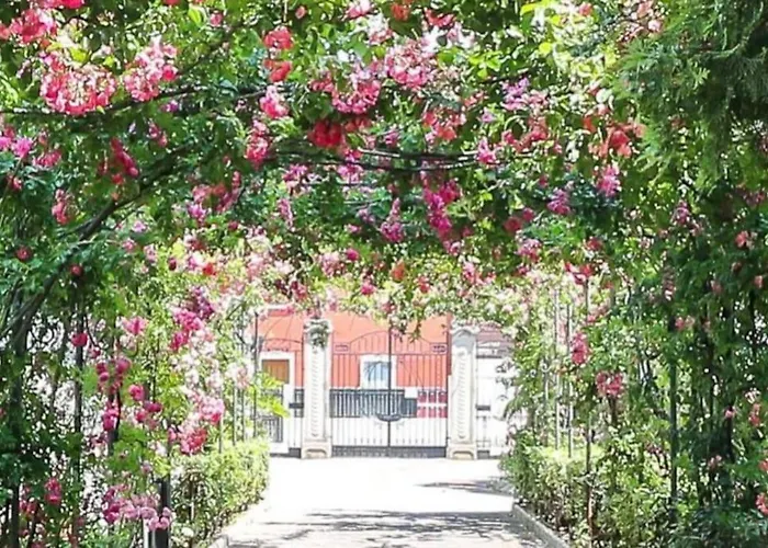 Deluxe Vicino Al Mare E Al Centro Con Parcheggio Privato Apartament *